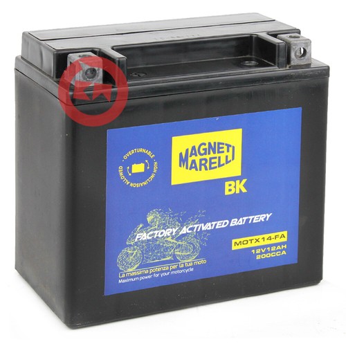 Batteria marelli ytx14 12v - batteria, ytx14-bs